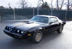 Firebird Central | 1981 Trans Am - Special Edition Decal and Stripe Kit ...